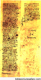 sinaiticus document sinaiticus